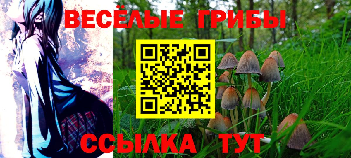 Галлюциногенные грибы мухоморы  Галлюциногенные грибы мицелий  Вход с VPN  Северск 