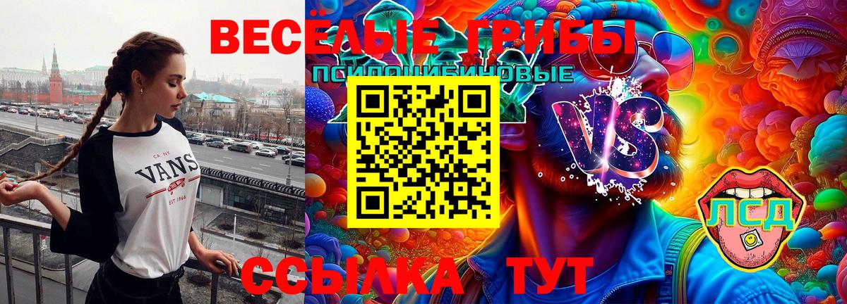 Галлюциногенные грибы прущие грибы Северск