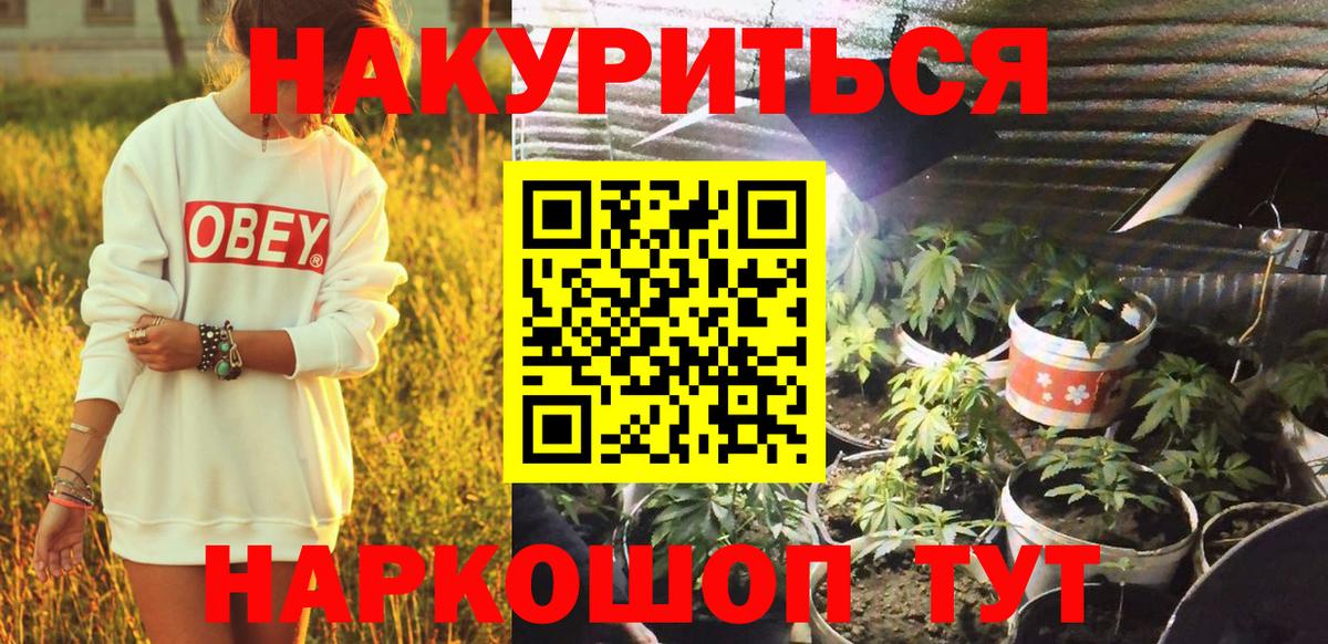 Конопля конопля Северск